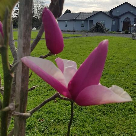 บรันต์วูด ลอดจ์ Bed & Breakfast เคมบริดจ์ ภายนอก รูปภาพ