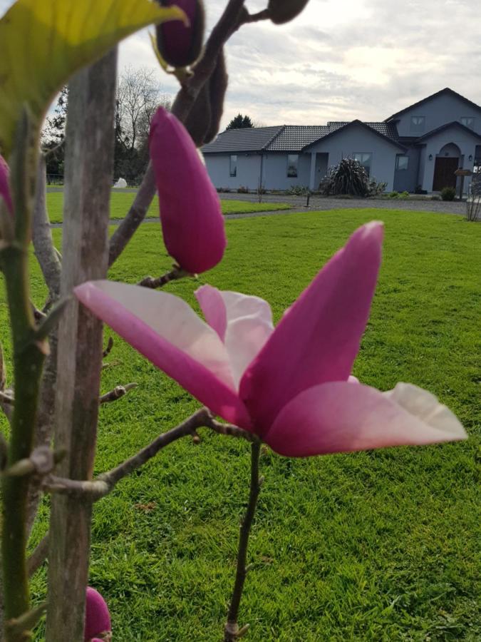 บรันต์วูด ลอดจ์ Bed & Breakfast เคมบริดจ์ ภายนอก รูปภาพ